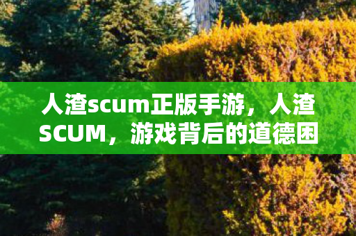 人渣scum正版手游，人渣SCUM，游戏背后的道德困境与现实映射