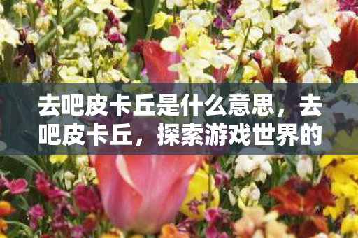 去吧皮卡丘是什么意思，去吧皮卡丘，探索游戏世界的奇妙之旅