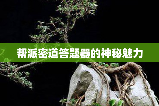 帮派密道答题器的神秘魅力