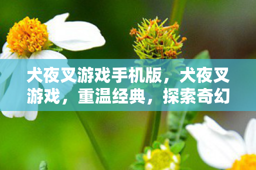 犬夜叉游戏手机版，犬夜叉游戏，重温经典，探索奇幻世界