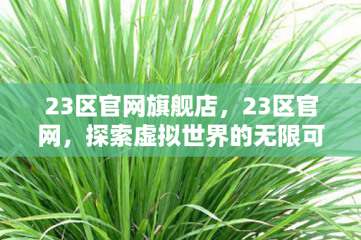 23区官网旗舰店，23区官网，探索虚拟世界的无限可能