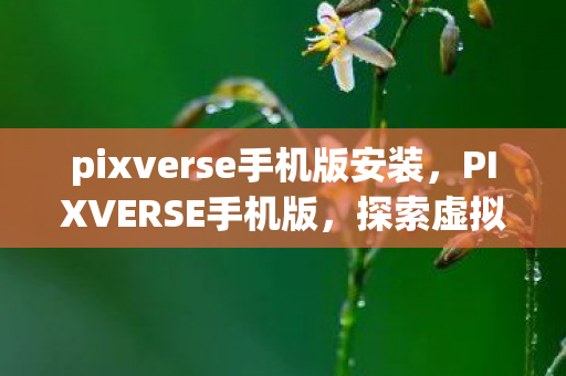 pixverse手机版安装，PIXVERSE手机版，探索虚拟世界的无限可能