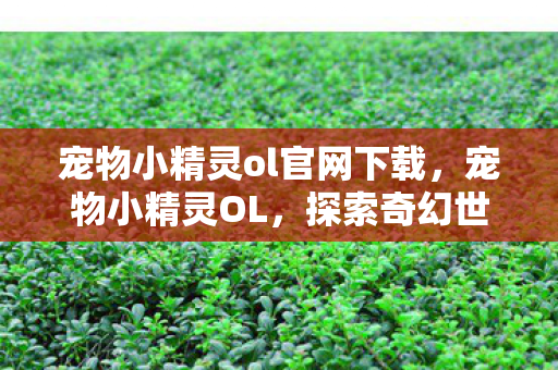 宠物小精灵ol官网下载，宠物小精灵OL，探索奇幻世界的奇妙旅程