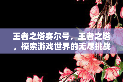 王者之塔赛尔号，王者之塔，探索游戏世界的无尽挑战与荣耀