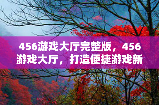 456游戏大厅完整版，456游戏大厅，打造便捷游戏新体验