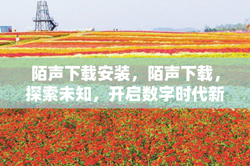 陌声下载安装，陌声下载，探索未知，开启数字时代新体验