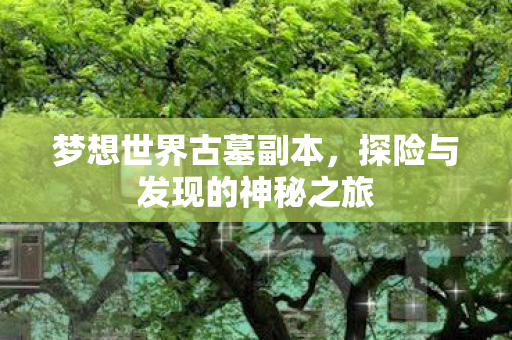 梦想世界古墓副本，探险与发现的神秘之旅