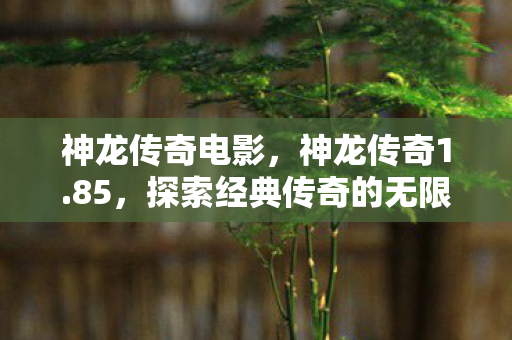 神龙传奇电影，神龙传奇1.85，探索经典传奇的无限可能