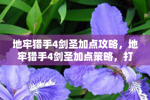 地牢猎手4剑圣加点攻略，地牢猎手4剑圣加点策略，打造最强战斗力的关键