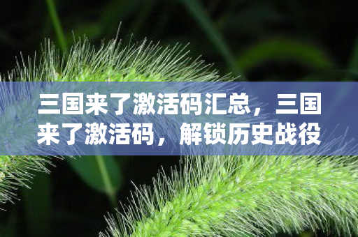 三国来了激活码汇总，三国来了激活码，解锁历史战役的密钥