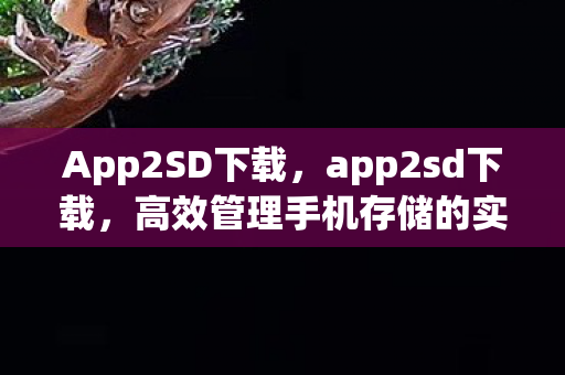 App2SD下载，app2sd下载，高效管理手机存储的实用工具