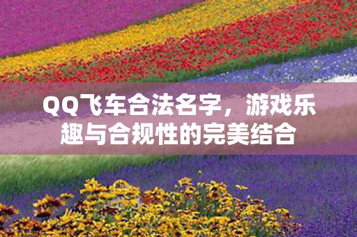 QQ飞车合法名字，游戏乐趣与合规性的完美结合