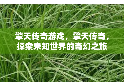 擎天传奇游戏，擎天传奇，探索未知世界的奇幻之旅