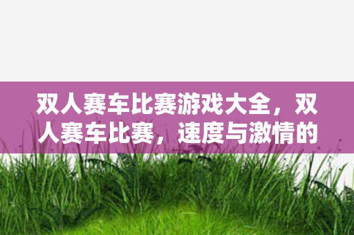 双人赛车比赛游戏大全，双人赛车比赛，速度与激情的碰撞