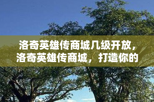 洛奇英雄传商城几级开放,洛奇英雄传商城,打造你的专属英雄之旅 洛奇英雄传商城几级开放,洛奇英雄传商城,打造你的专属英雄之旅