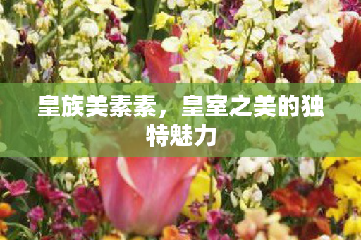 皇族美素素，皇室之美的独特魅力