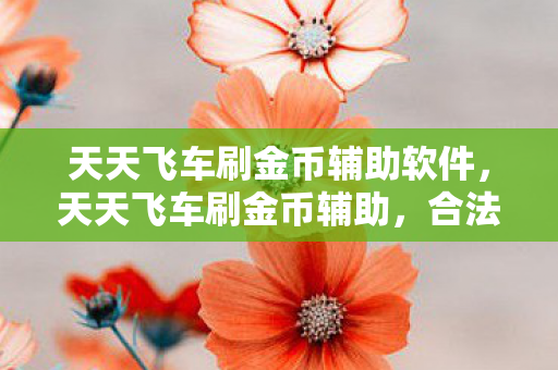 天天飞车刷金币辅助软件，天天飞车刷金币辅助，合法提升游戏体验的秘诀