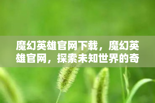 魔幻英雄官网下载，魔幻英雄官网，探索未知世界的奇幻之旅