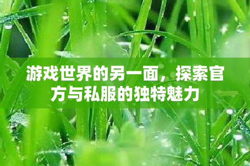 游戏世界的另一面，探索官方与私服的独特魅力