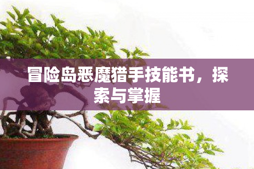 冒险岛恶魔猎手技能书，探索与掌握