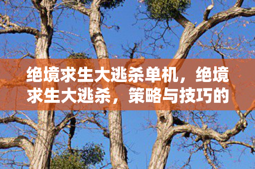 绝境求生大逃杀单机，绝境求生大逃杀，策略与技巧的终极指南