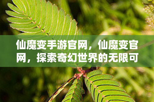 仙魔变手游官网,仙魔变官网,探索奇幻世界的无限可能 仙魔变手游官网,仙魔变官网,探索奇幻世界的无限可能
