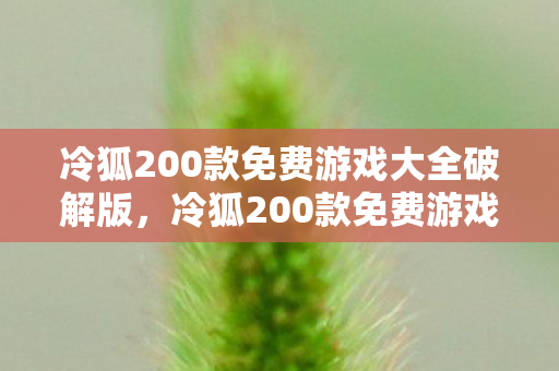 冷狐200款免费游戏大全破解版，冷狐200款免费游戏大全