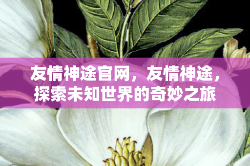 友情神途官网，友情神途，探索未知世界的奇妙之旅