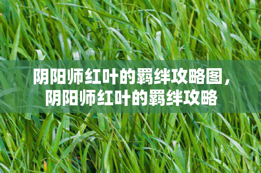 阴阳师红叶的羁绊攻略图，阴阳师红叶的羁绊攻略