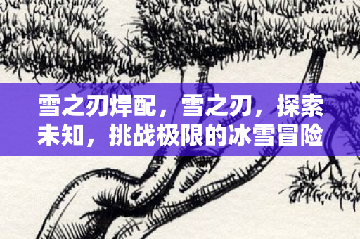 雪之刃焊配，雪之刃，探索未知，挑战极限的冰雪冒险