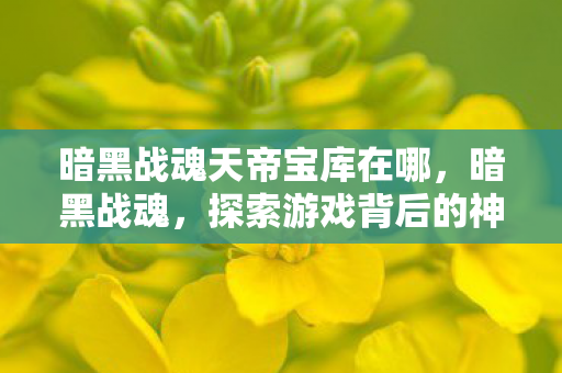 暗黑战魂天帝宝库在哪，暗黑战魂，探索游戏背后的神秘世界