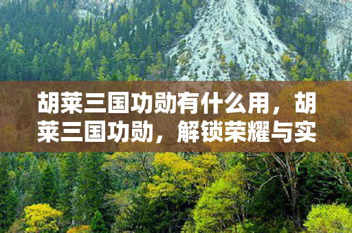 胡莱三国功勋有什么用，胡莱三国功勋，解锁荣耀与实力的关键