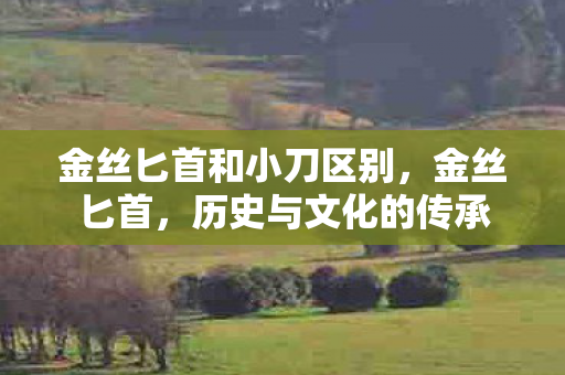 金丝匕首和小刀区别,金丝匕首,历史与文化的传承 金丝匕首和小刀区别,金丝匕首,历史与文化的传承