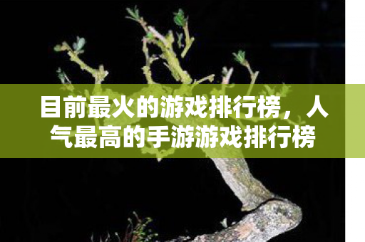 目前最火的游戏排行榜，人气最高的手游游戏排行榜