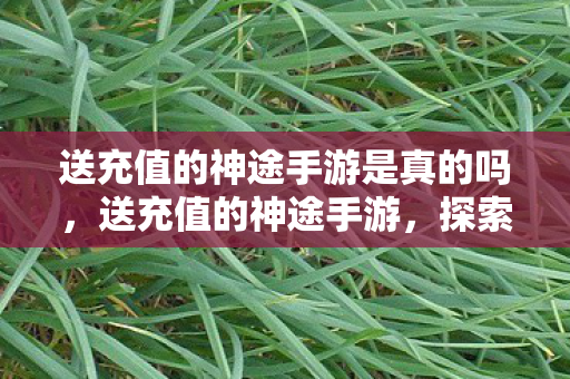 送充值的神途手游是真的吗，送充值的神途手游，探索无限可能的虚拟世界