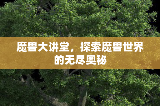 魔兽大讲堂，探索魔兽世界的无尽奥秘