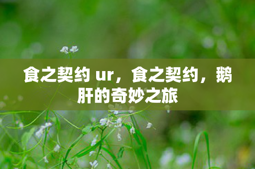 食之契约 ur,食之契约,鹅肝的奇妙之旅 食之契约 ur,食之契约,鹅肝的奇妙之旅