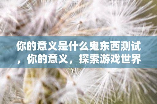 你的意义是什么鬼东西测试，你的意义，探索游戏世界的深层价值