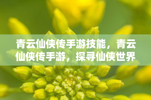 青云仙侠传手游技能，青云仙侠传手游，探寻仙侠世界的无尽魅力