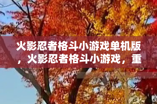 火影忍者格斗小游戏单机版，火影忍者格斗小游戏，重温经典，再战忍界