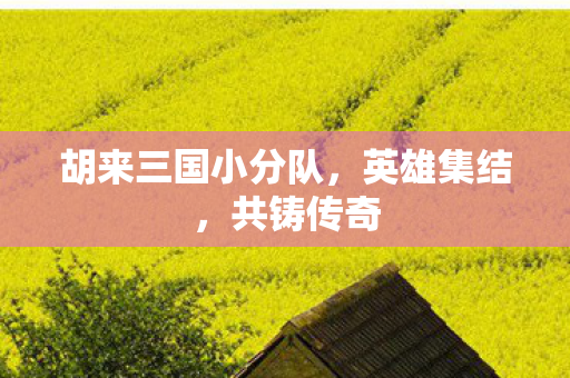 胡来三国小分队，英雄集结，共铸传奇