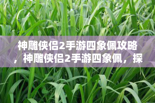 神雕侠侣2手游四象佩攻略，神雕侠侣2手游四象佩，探寻江湖中的神秘宝物