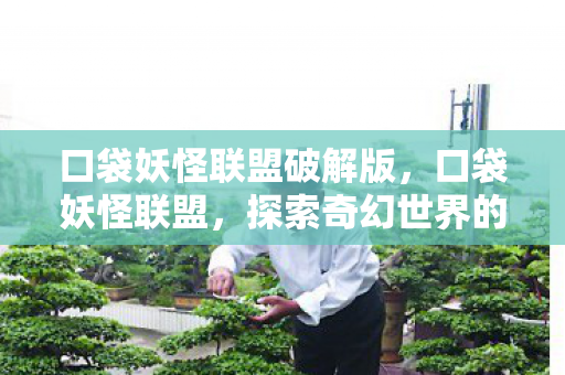 口袋妖怪联盟破解版,口袋妖怪联盟,探索奇幻世界的奇妙旅程 口袋妖怪联盟破解版,口袋妖怪联盟,探索奇幻世界的奇妙旅程