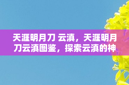 天涯明月刀 云滇,天涯明月刀云滇图鉴,探索云滇的神秘与美丽 天涯明月刀 云滇,天涯明月刀云滇图鉴,探索云滇的神秘与美丽