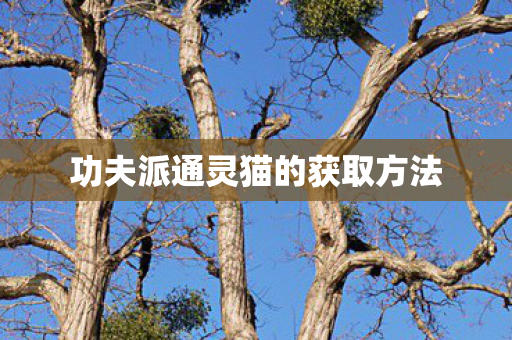 功夫派通灵猫的获取方法