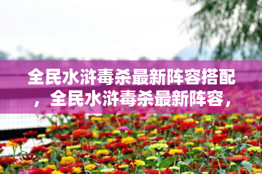 全民水浒毒杀最新阵容搭配，全民水浒毒杀最新阵容，打造最强战斗阵容，助你称霸江湖