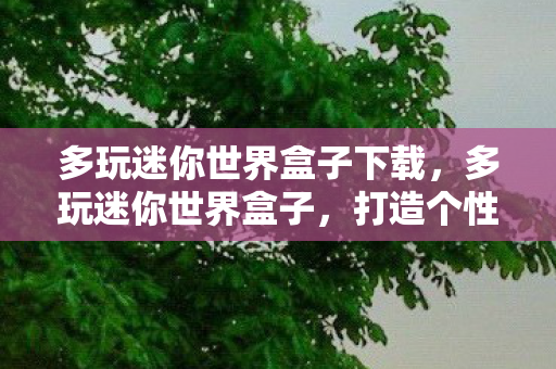 多玩迷你世界盒子下载，多玩迷你世界盒子，打造个性化游戏世界的神器