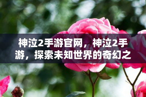神泣2手游官网，神泣2手游，探索未知世界的奇幻之旅