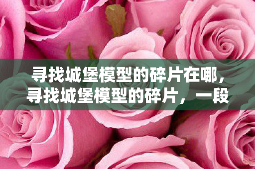 寻找城堡模型的碎片在哪，寻找城堡模型的碎片，一段被遗忘的历史