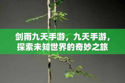 剑雨九天手游，九天手游，探索未知世界的奇妙之旅